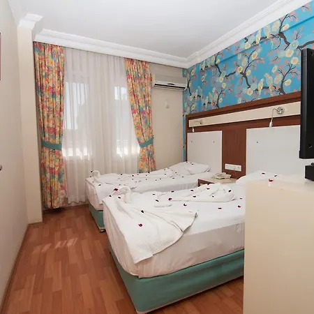 Гостевой дом Anik