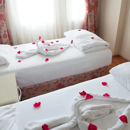 Гостевой дом Anik 3*