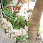 Pensionat Anik Alanya