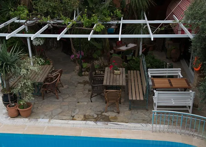 Anik Alanya