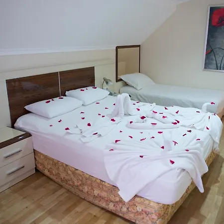 게스트하우스 Anik