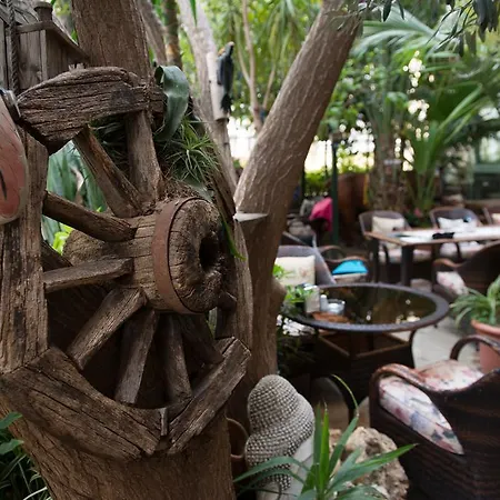 게스트하우스 Anik