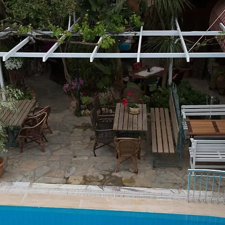 Anik Alanya